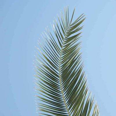 博鱼棋盘官方网站